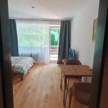 Moderne In Hahnenklee Apartment *