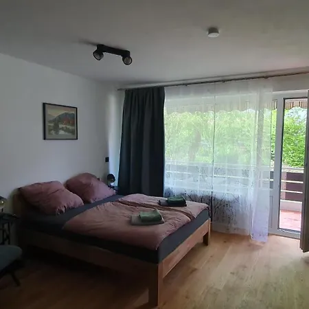 Апартаменты Moderne In Hahnenklee Гослар