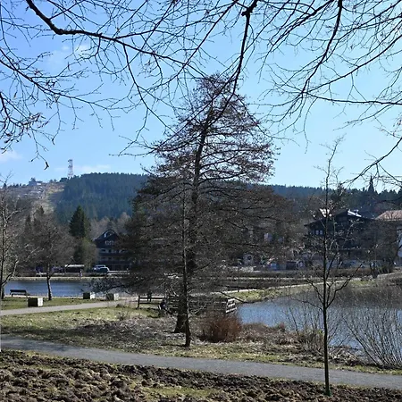 Moderne In Hahnenklee- Inklusive Waeschepaket- *