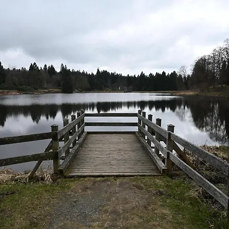 Moderne In Hahnenklee- Inklusive Waeschepaket- * Goslar