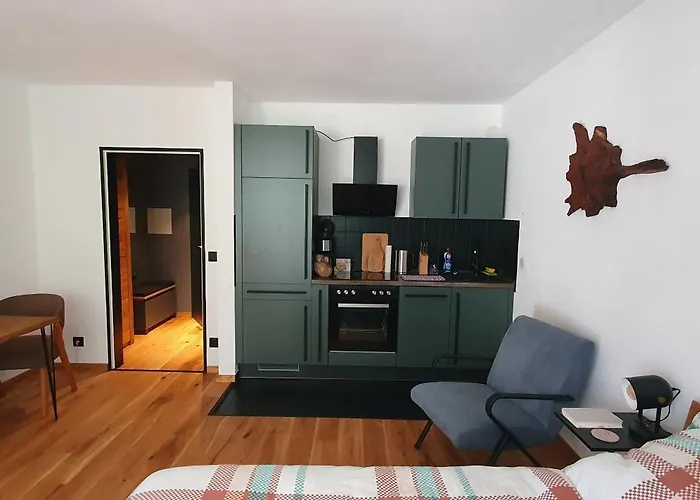 Appartement Moderne In Hahnenklee *